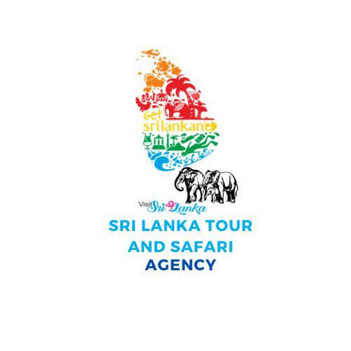 Tours & Safari